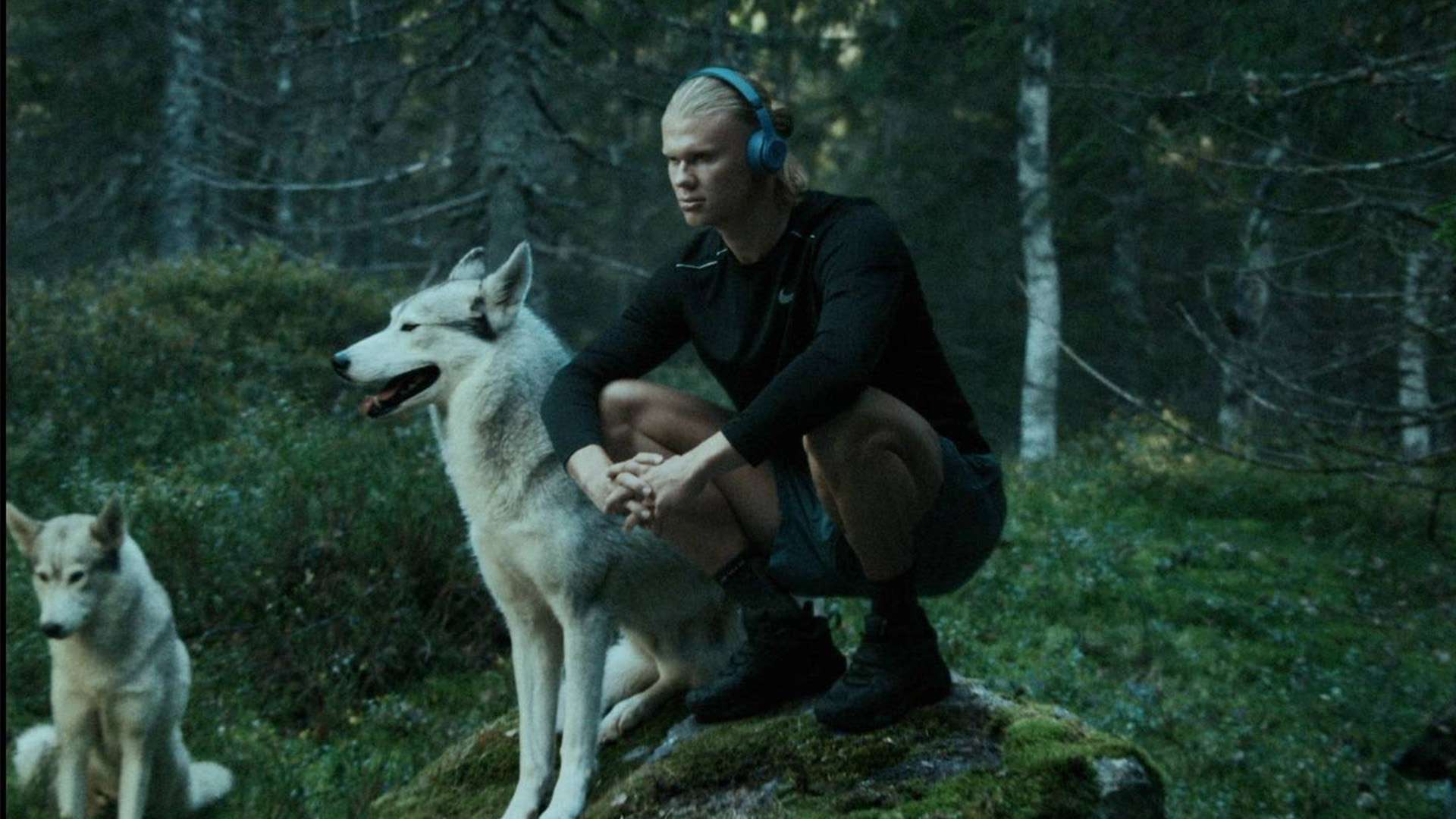 更有望在国 更有望在国